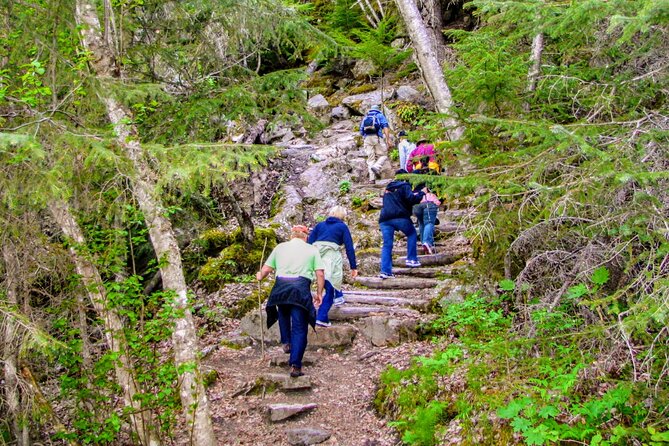 Skagway Shore Excursion Chilkoot Trail Hike and Float Tour - The Chilkoot Trail begins with a real climb