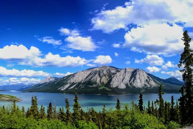 Skagway Shore Excursion: Full-Day Tour of the Yukon - Tutshi Lake and the first mountain views