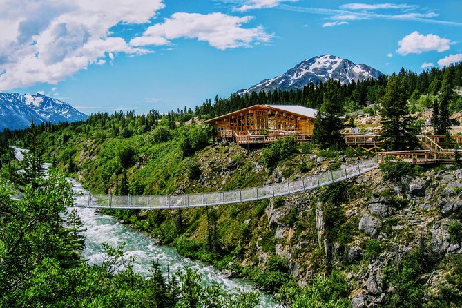 Skagway Shore Excursion: Half-Day Tour to the Yukon Border and Suspension Bridge - Why this route is worth your Skagway morning