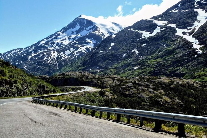 Skagway Shore Excursion: Half-Day Tour to the Yukon Border and Suspension Bridge - What four hours feels like in a group of 24