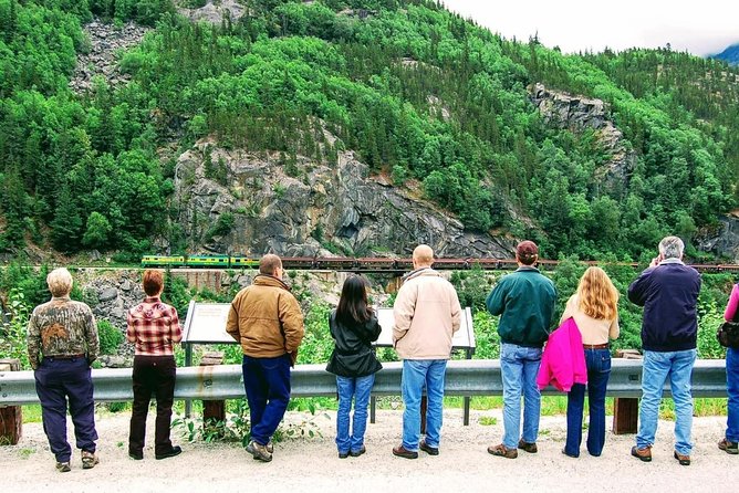 Skagway Shore Excursion: Half-Day Tour to the Yukon Border and Suspension Bridge - What the $138.93 price buys you