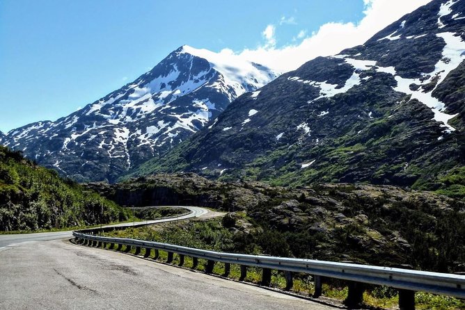 Skagway Shore Excursion: White Pass Summit and Skagway City Tour - A mini-bus changes the feel compared with the train