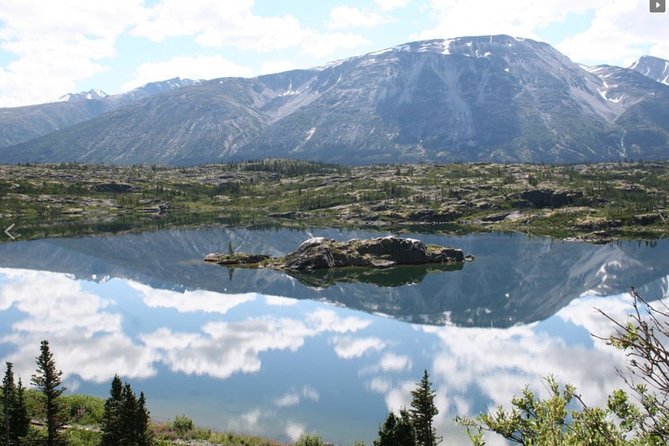 Skagway Shore Excursion: Yukon Dog Sledding and Sightseeing Tour - Caribou Crossing: lunch, puppies, and a crowded schedule