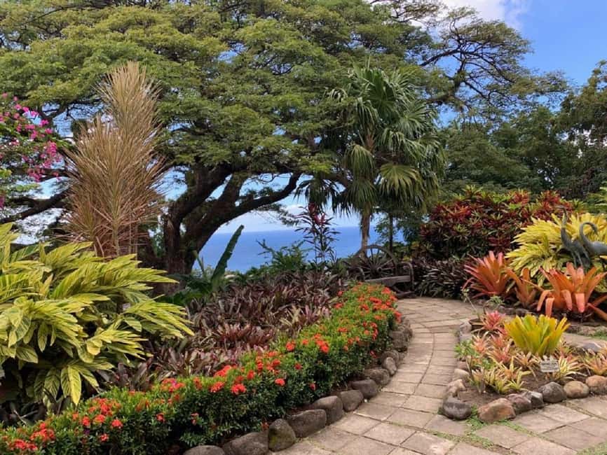 St. Kitts: Private Island Highlights Shore Excursion - Key points to know before you book