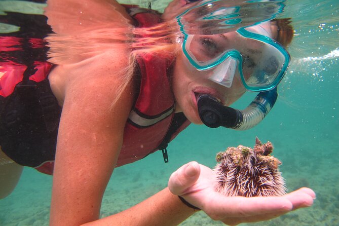 St Thomas Shore Excursion: Mangrove Lagoon Kayak and Snorkel Tour - Getting from the cruise port to the water
