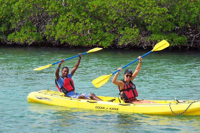 St Thomas Shore Excursion: Mangrove Lagoon Kayak and Snorkel Tour - The Cas Cay option adds land, birds, and island geology