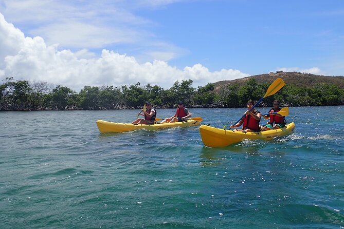 St Thomas Shore Excursion: Mangrove Lagoon Kayak and Snorkel Tour - What the $119 price includes