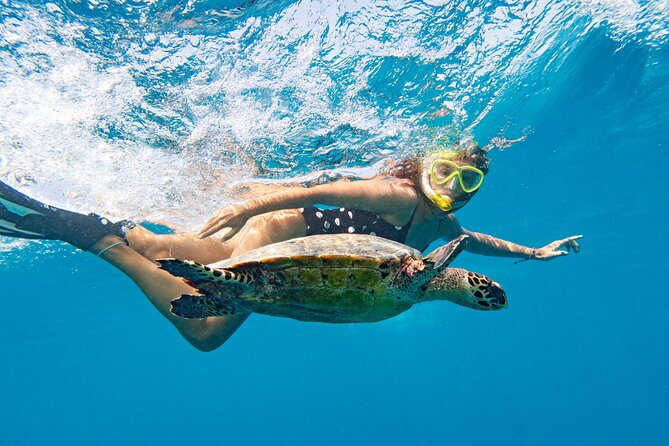 St Thomas Shore Excursion: Mangrove Lagoon Kayak and Snorkel Tour - Practical preparation for a better day