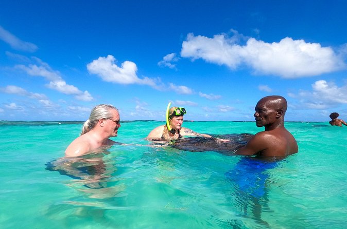 Stingray City Experience Antigua - Cruise Ship Passengers Edition - The crowd question: a maximum of 32