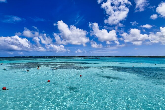 Stingray City Experience Antigua - Cruise Ship Passengers Edition - Port timing matters more than the exact schedule