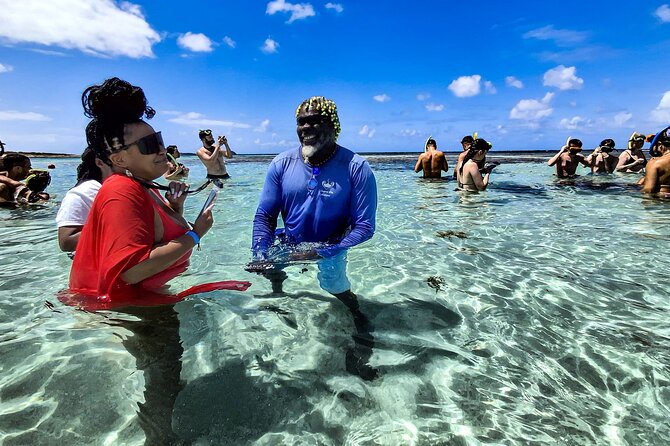 Stingray City Experience Antigua - Cruise Ship Passengers Edition - Is $139.90 a fair price?