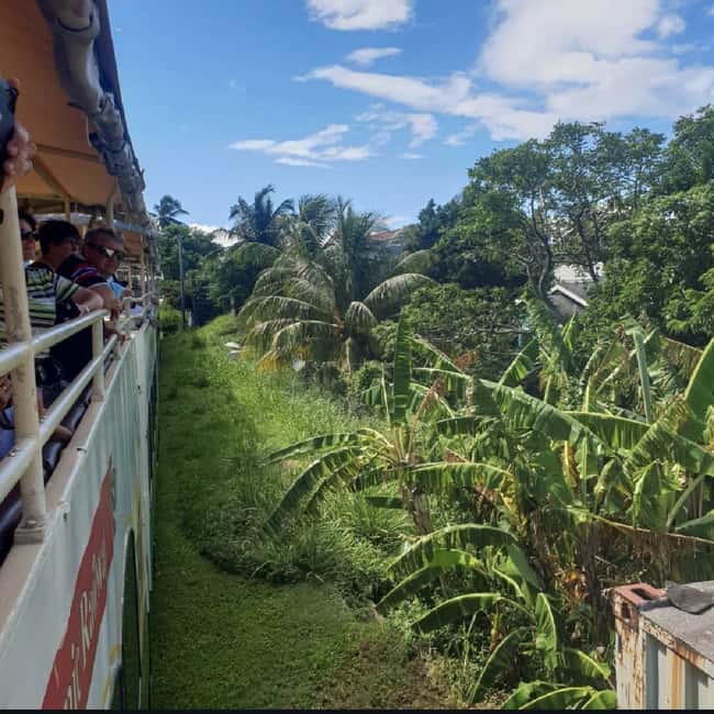 Sugar Train Tour & Drinks|Pick-Up &Drop Off From Cruise Port - The ride from port to railway