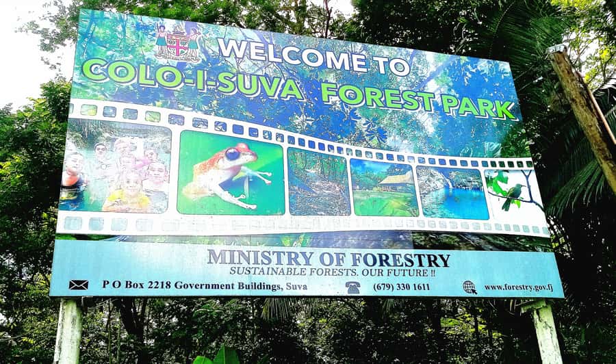 Suva Cruise Ship Tour - Nausori, the Rewa River, and Princess Road