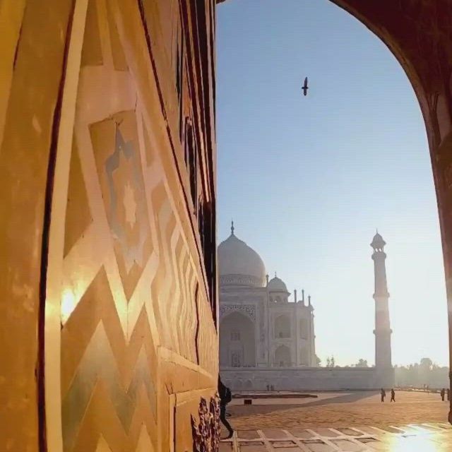 Taj Mahal and Agra Private Tour with free Airport pickup - Who should choose this Agra day trip?