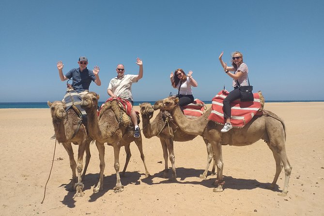 Tangier Private Full Day Tour From The Cruise Ship all inclusive - Why this Tangier tour works well from a cruise ship