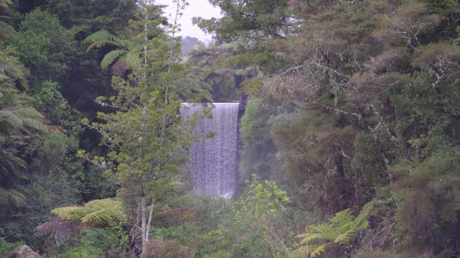 Tauranga: Kiwifruit Destination and Sights Shore Excursion - McLaren Falls Park brings the day outdoors