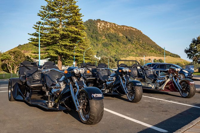 TAURANGA SHORE EXCURSION: Epic 25 min V8 Trike tour of Mt Maunganui & Tauranga - The 600-year-old pōhutukawa tree