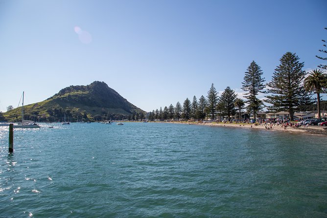 Tauranga Shore Excursion: History & Kiwifruit Tasting – 4 Hours - Mount Maunganui: beach views and the story of Tauranga
