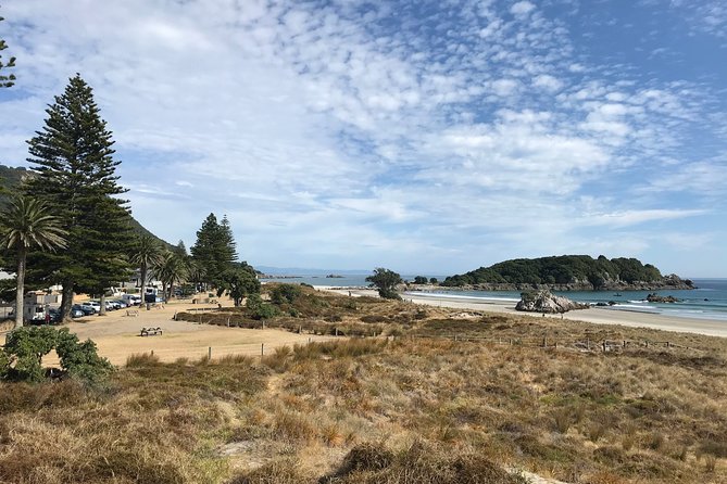 Tauranga Shore Excursion: History & Kiwifruit Tasting – 4 Hours - Tauranga harbor and the Port of Tauranga