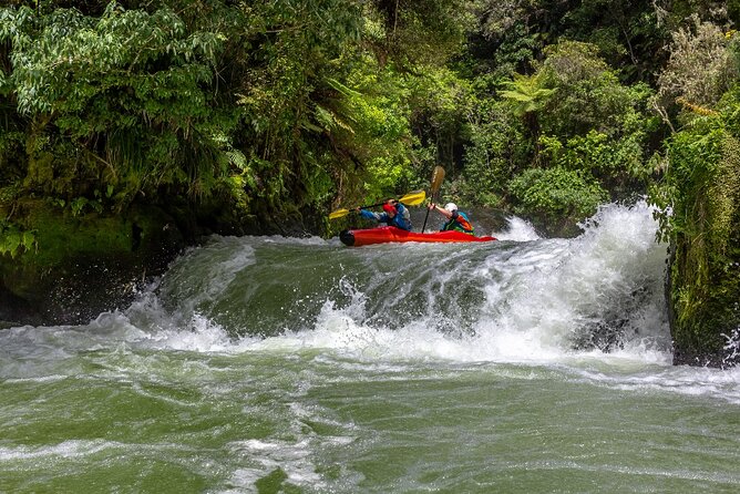 Tauranga Shore Excursion: Rotorua Highlights - At a glance: what this day delivers