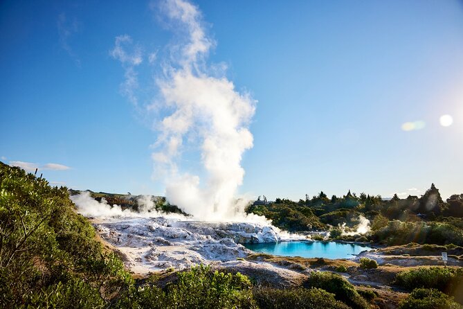 Tauranga Shore Excursion: Rotorua Highlights - Kaituna Falls and the ride back