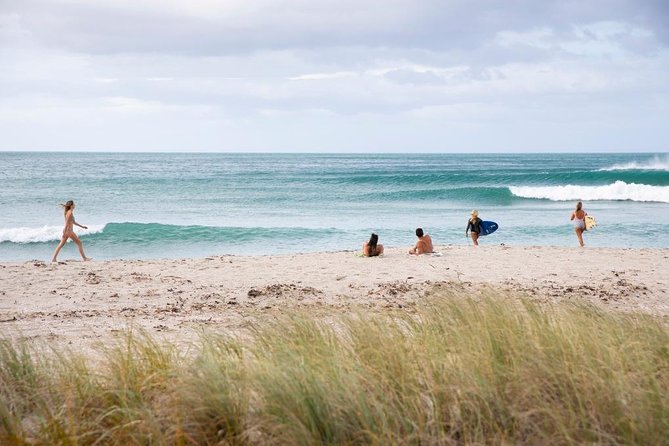 Tauranga Shore Excursion: Top Half Day Curated Highlights Tour - A broad Tauranga introduction from the cruise port