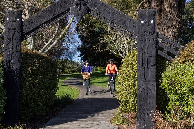 Tauranga Shore Excursion: Top Half Day Curated Highlights Tour - Minden Lookout delivers a fast panoramic pause
