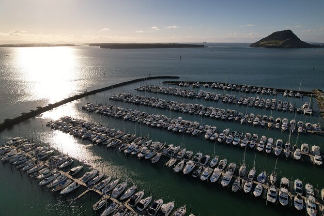 Tauranga Shore Excursion: Top Half Day Curated Highlights Tour - McLaren Falls combines coffee with a bush walk