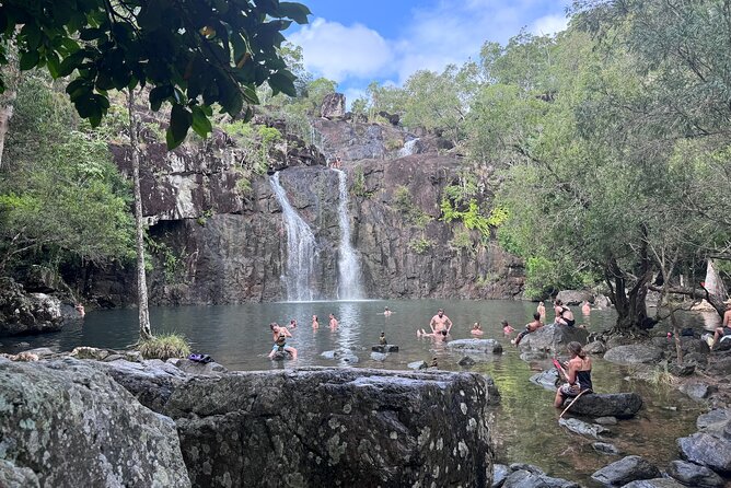 The Airlie Sightseeing Bus – (Cruise-Ship Friendly) - First stop: Whitsunday Gold Coffee Plantation