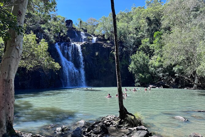 The Airlie Sightseeing Bus – (Cruise-Ship Friendly) - Cedar Creek Falls and the dry-season catch