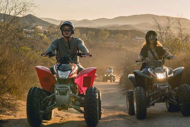 Thrilling ATV Ride Through Vineyards with Port Pickup - What the ATV portion feels like