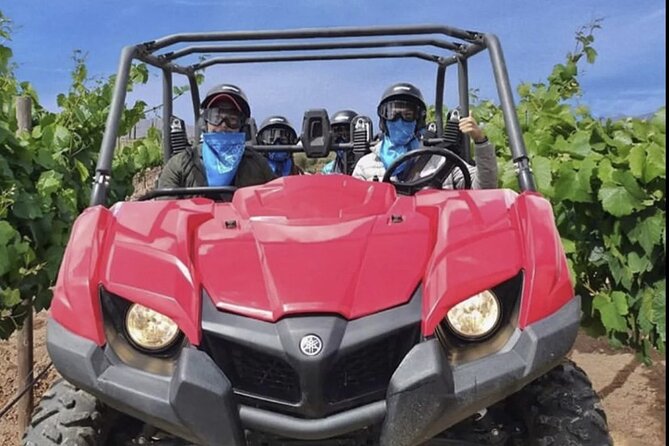 Thrilling ATV Ride Through Vineyards with Port Pickup - Lunch, wine country, and optional local stops