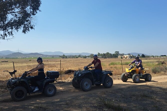 Thrilling ATV Ride Through Vineyards with Port Pickup - Historic Ensenada stops on the return
