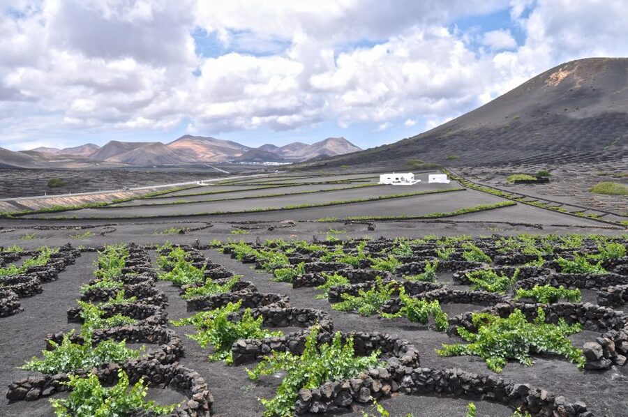 Timanfaya And El Golfo For Cruise Passengers (Mornings) - Why Timanfaya deserves the morning