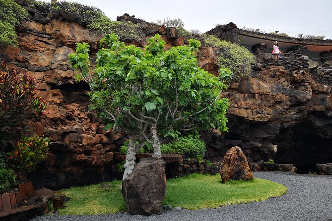 Tour of Jameos del Agua Viewpoint and Valley of 1000 Palm Trees for cruise passengers - Haría and the Valley of 1000 Palm Trees