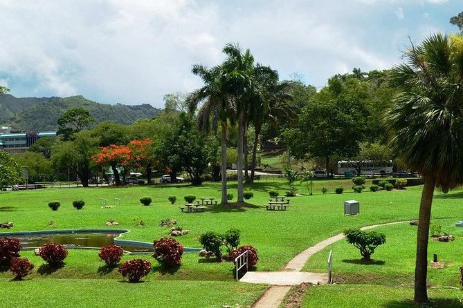 Trinidad Highlights Tour from Port of Spain - The museum stop depends on availability