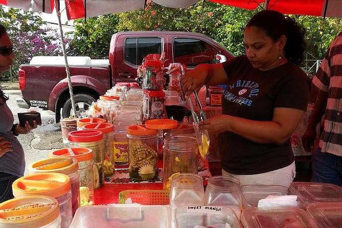 Trinidad Highlights Tour from Port of Spain - The north coast drive adds scenery between stops