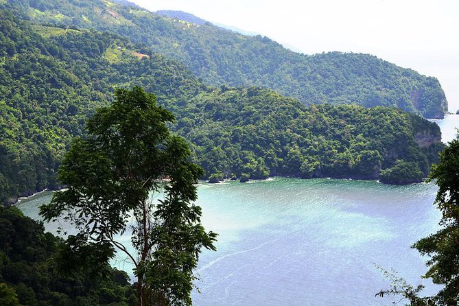 Trinidad Highlights Tour from Port of Spain - Maracas Beach is the relaxed finish