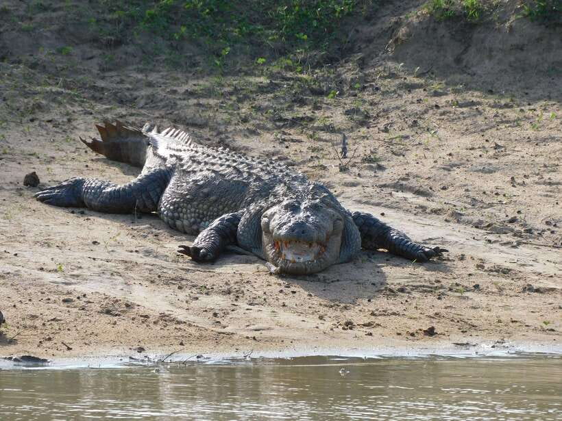Udawalawe Safari Tour from Hambantota Port (Shore Excursion) - Is $67 a fair price?