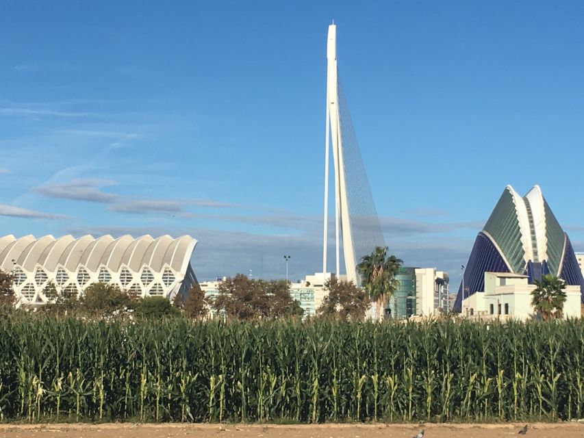 Valencia: Private 4-Hour Shore Excursion - What the private format really adds
