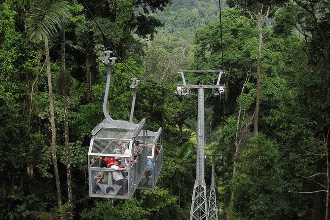 Veragua Rainforest and Tortuguero Canals Shore Excursion - Veragua Rainforest Park, exhibits, tram, and waterfall