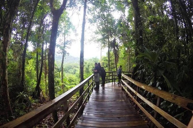 Veragua Rainforest Walk, Tram & Tortuguero Boat Tour. Limon Shore Excursion - Why this Limón shore excursion works