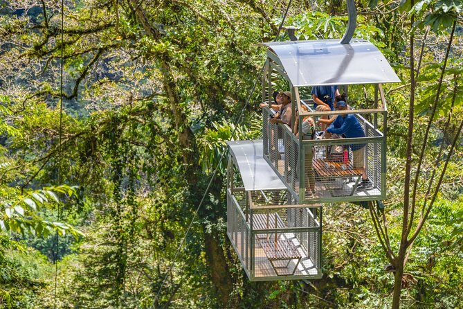Veragua Rainforest Walk, Tram & Tortuguero Boat Tour. Limon Shore Excursion - Veragua Rainforest: tram first, trail second