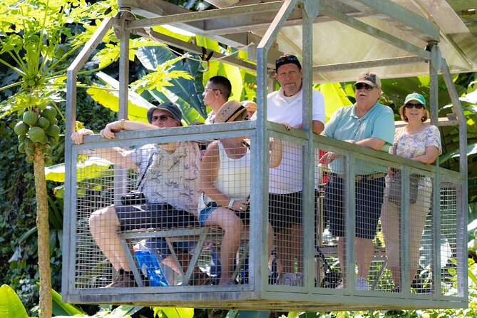 Veragua Rainforest Walk, Tram & Tortuguero Boat Tour. Limon Shore Excursion - Tortuguero canals offer a different kind of wildlife search