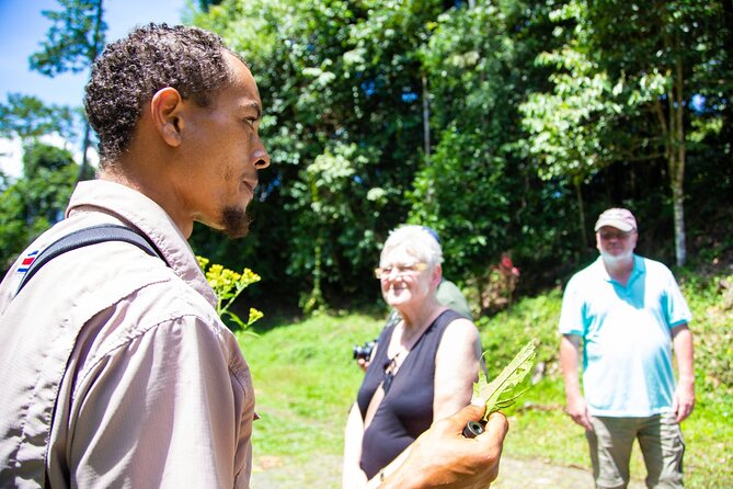 Veragua Rainforest Walk, Tram & Tortuguero Boat Tour. Limon Shore Excursion - Guide quality can shape the whole day