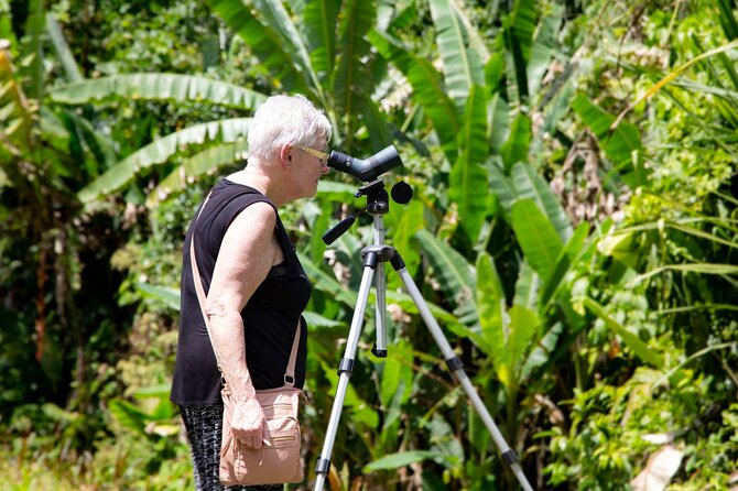 Veragua Rainforest Walk, Tram & Tortuguero Boat Tour. Limon Shore Excursion - The road to Veragua takes patience