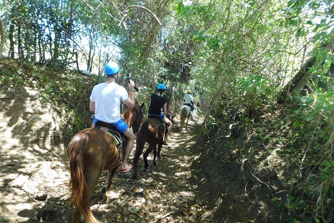 VIP DayPass: ATV, ZipLine, Horse Riding / Shore Excursion & Hotel - Horseback riding from adventure to quiet countryside