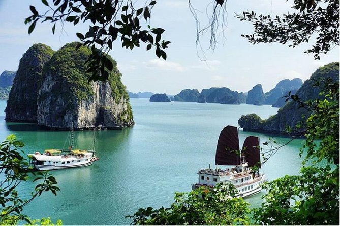 VIP Ha Long Bay 6 hour FUJI cruise with latest luxury cruise ship + limousine + highway + dinner for Japanese only - Kayaking or bamboo boat on the bay
