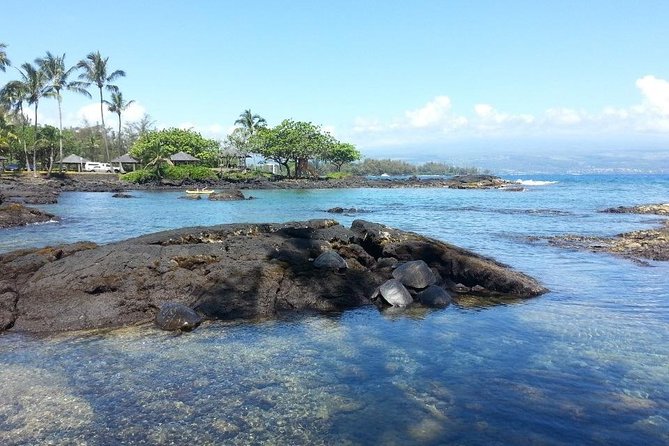 Volcano Adventure Tour & Waterfall - Shore Excursion from Hilo Harbor - Lunch and snack planning need a realistic view