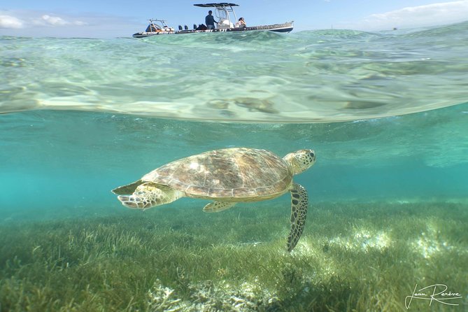 Water Taxi Signal Island Turtle Tour for cruisers - The inflatable boat ride is fast, open, and sometimes rough